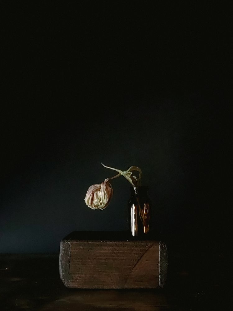 Photograph by Ольга Голованова