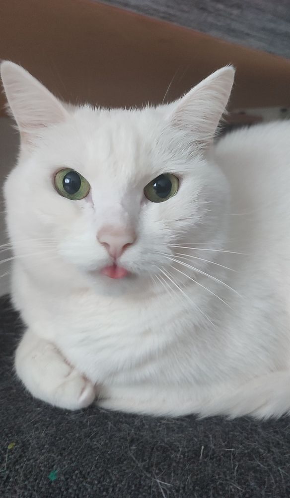 Photograph by Анна Якимова