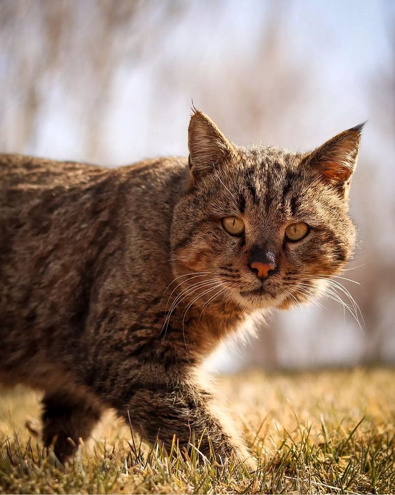 Photograph by Erfan Jahanbazi