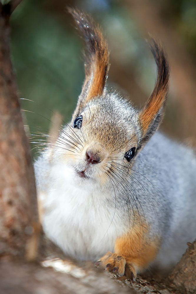 Photograph by Владимир Салапонов