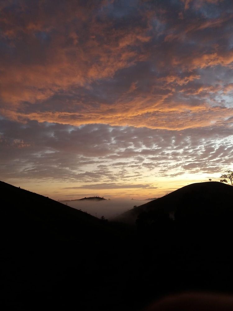Photograph by Vanessa Santos