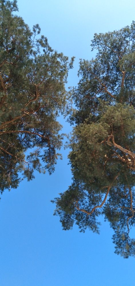 Photograph by Любовь Макарова