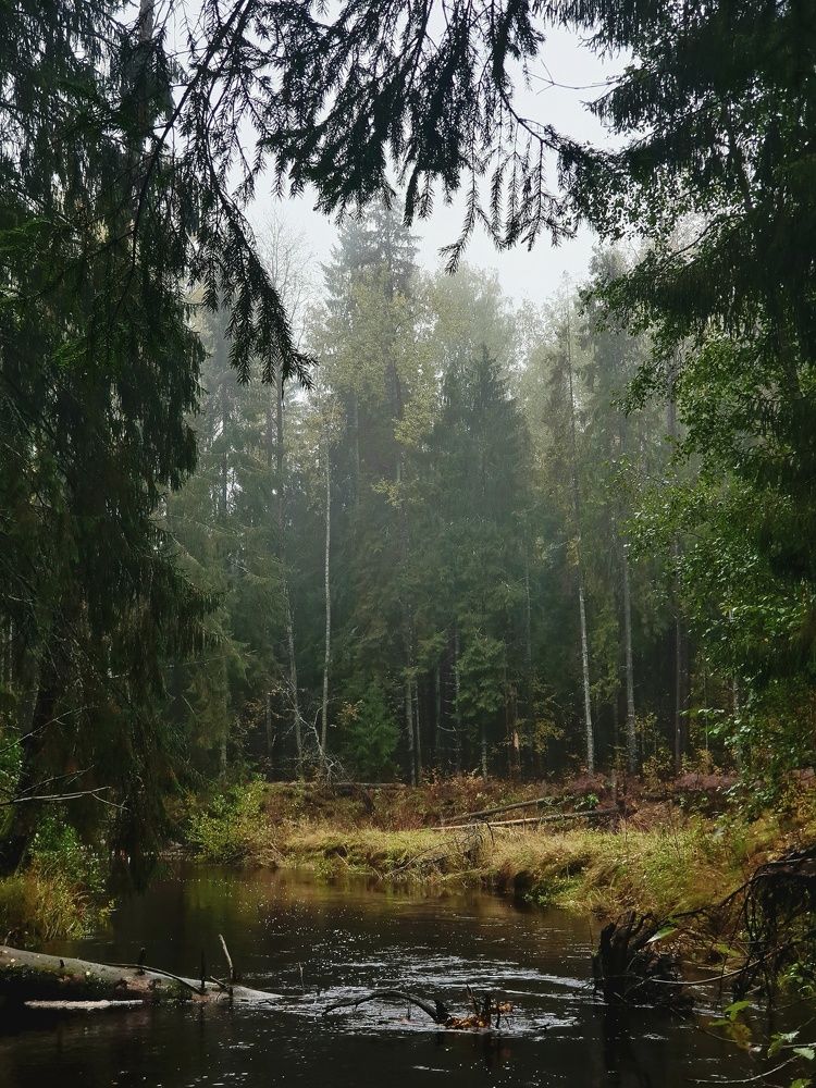 Photograph by Мария Муравьева