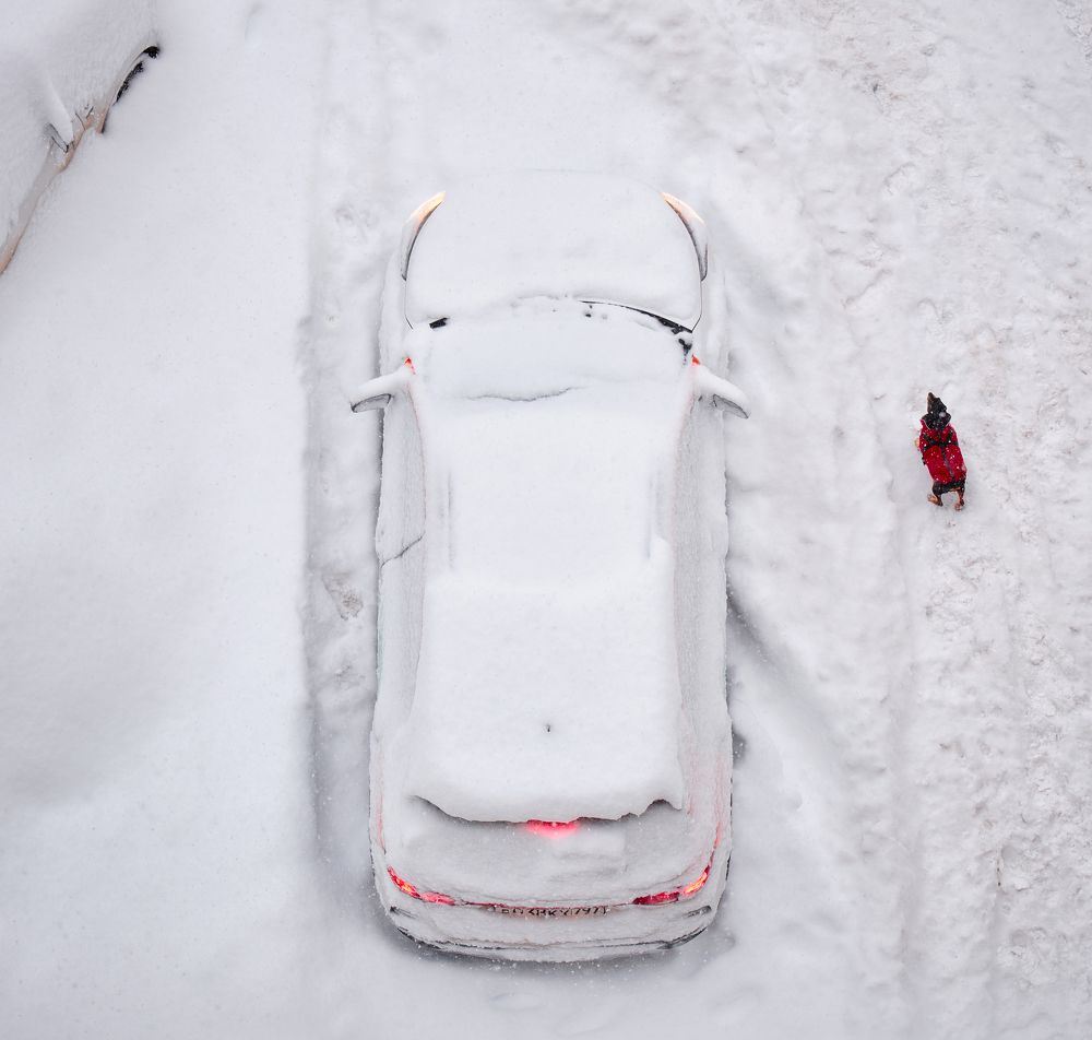 Photograph by Дмитрий Емельянов