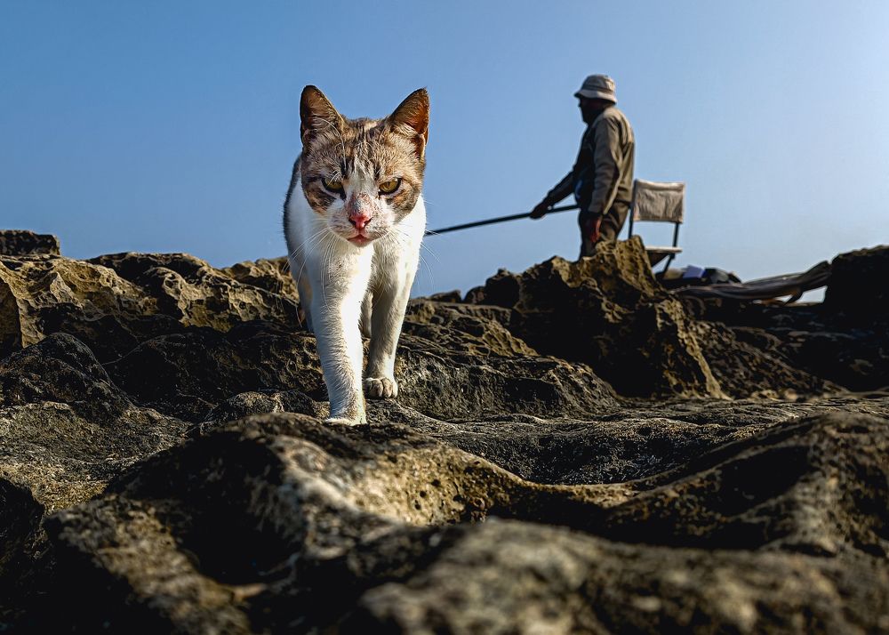 Фотография автора Ahmed Flex