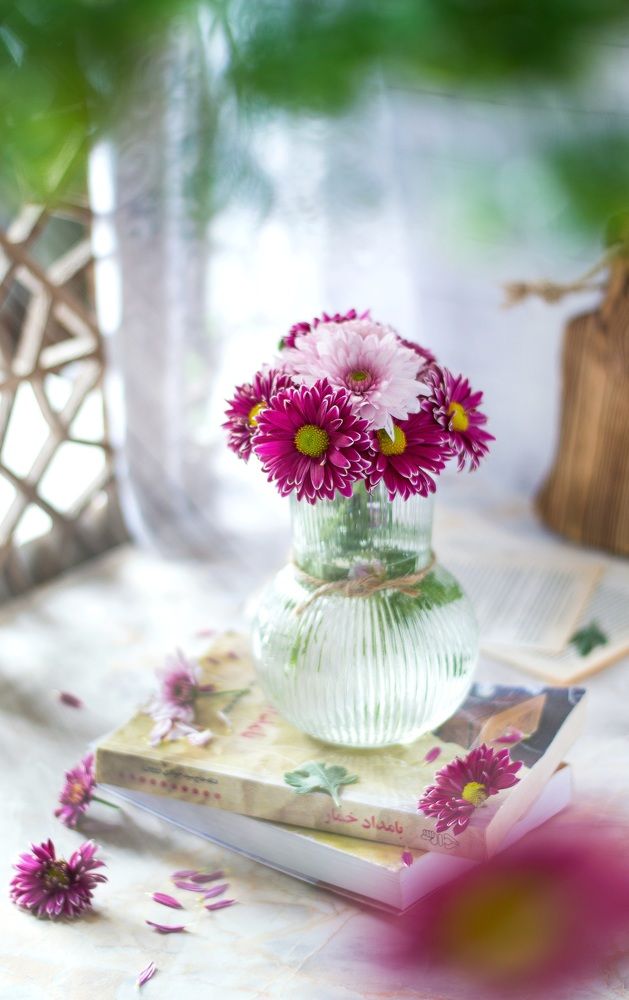 Photograph by Negah_ Photography_