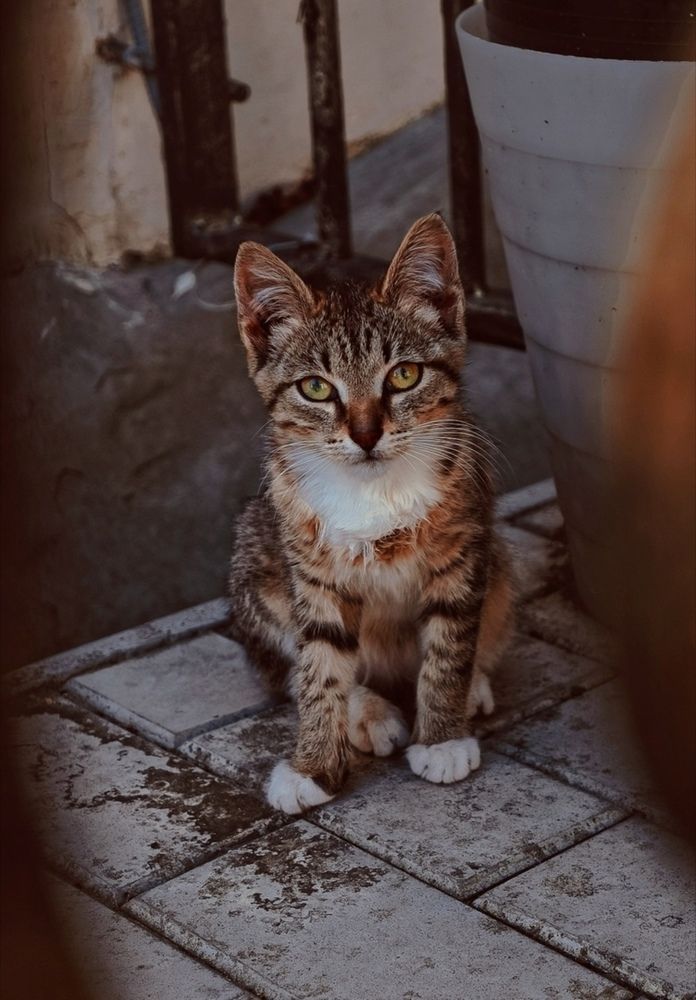 Photograph by Ульяна Дундукова