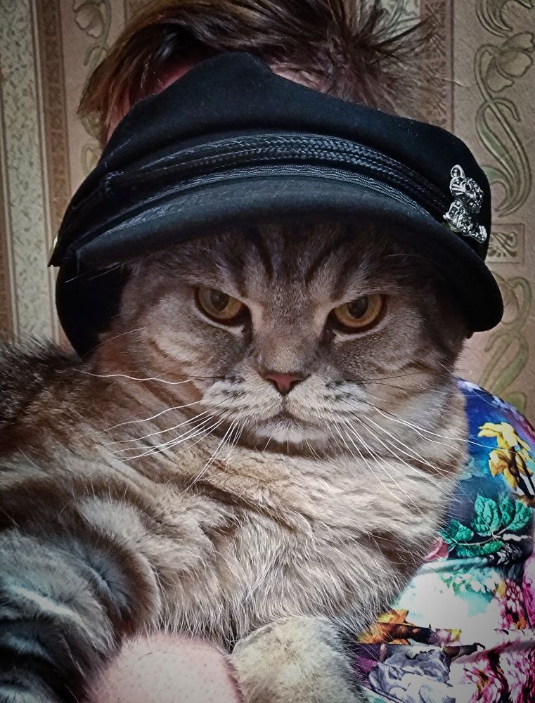 Photograph by Svetlana Victorovna Kibyakova