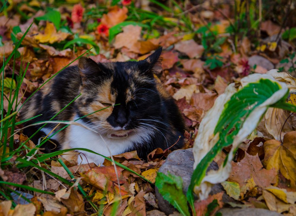 Photograph by Екатерина Николаева