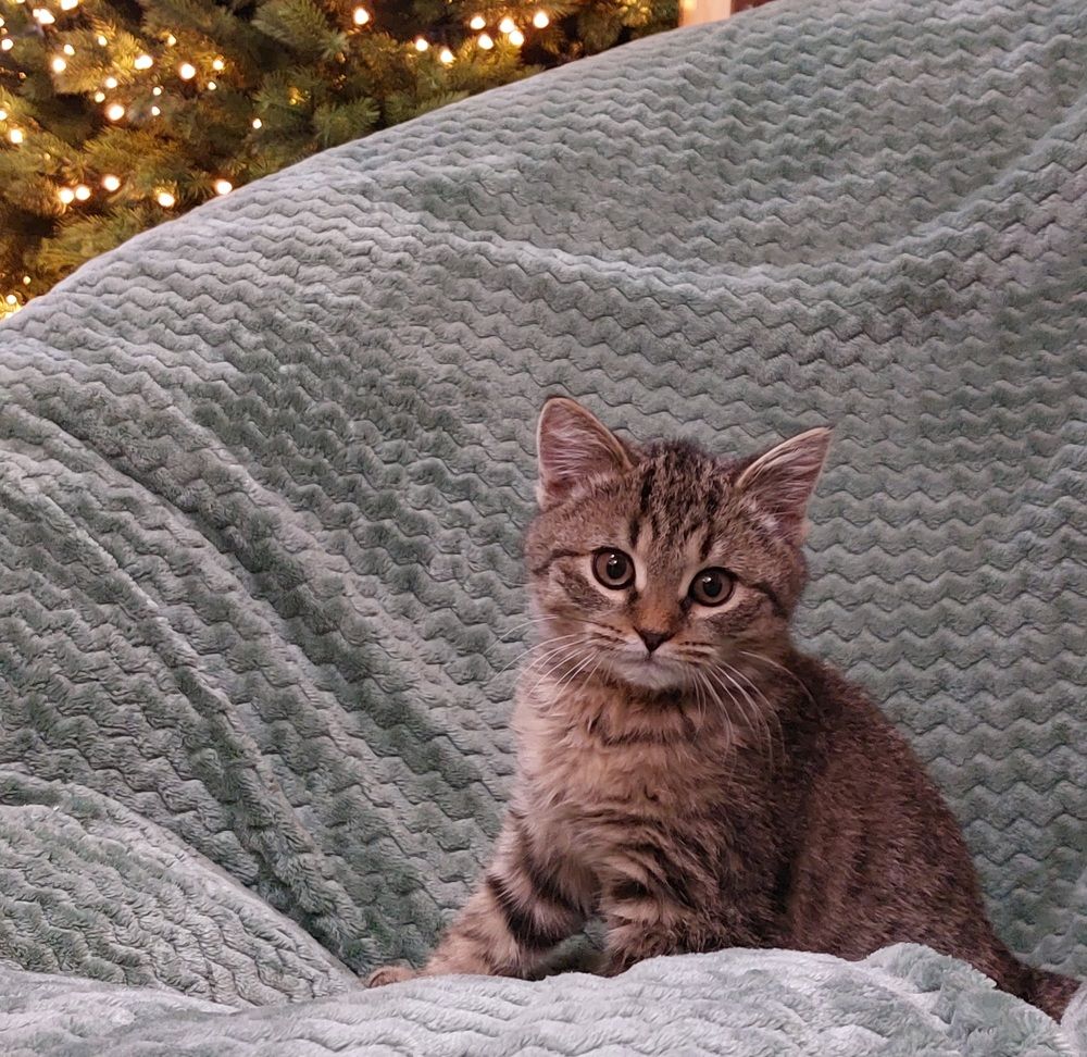 Photograph by Светлана Шиляева