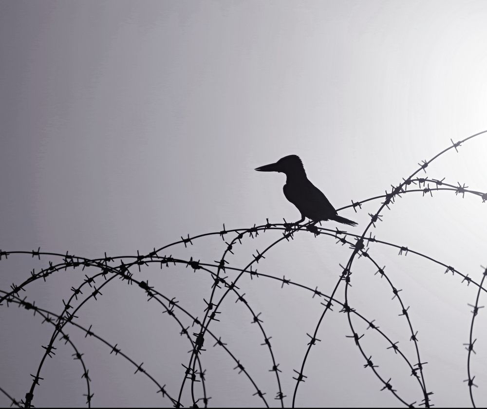 Photograph by Ahmad Alshawaf