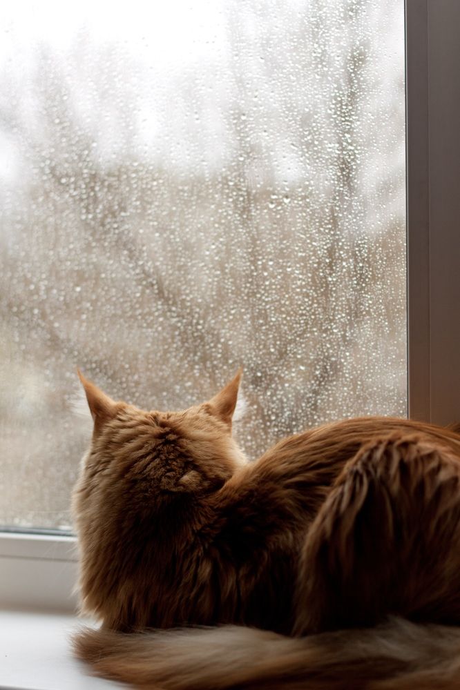 Photograph by Наталья Алина