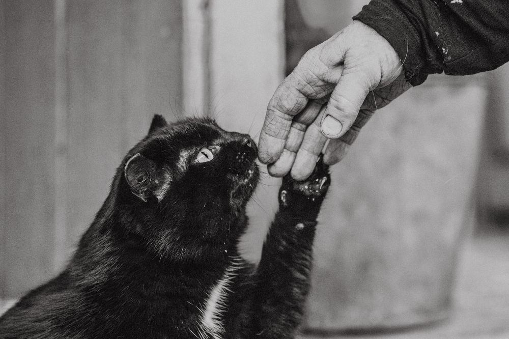 Photograph by Корчагина Оксана