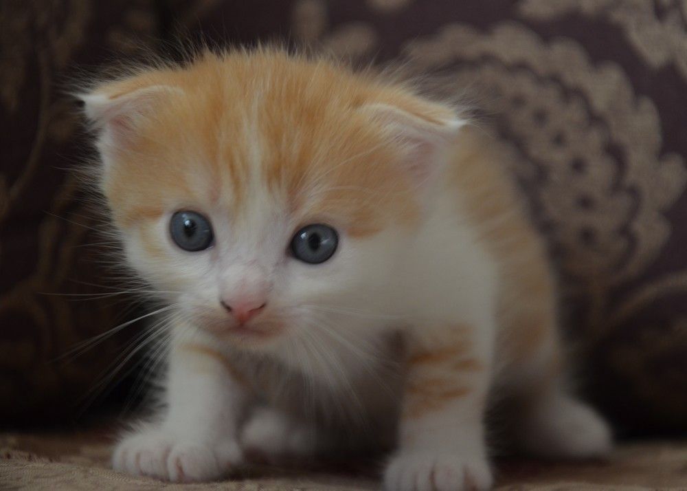 Photograph by Инна Гаджиева