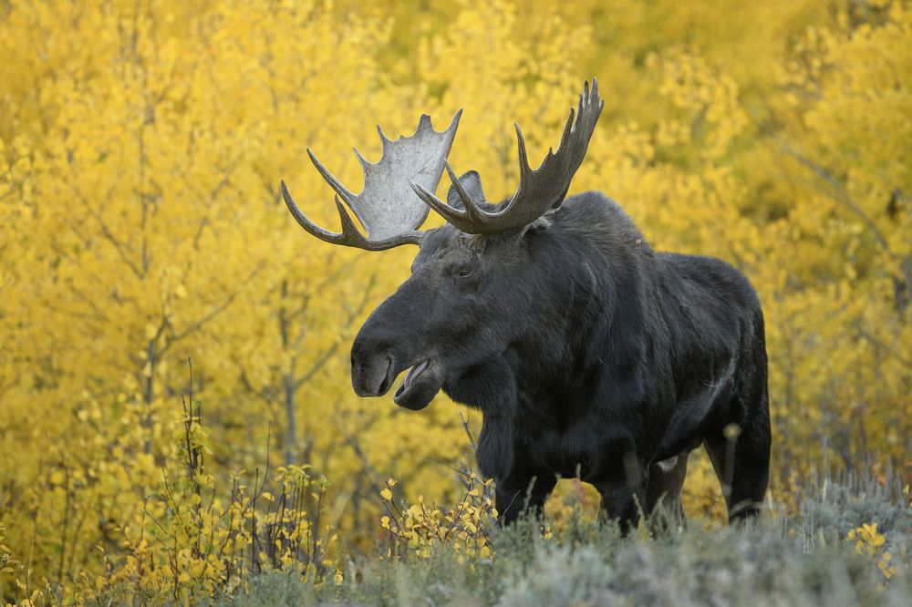 Photograph by Jorn Vangoidtsenhoven