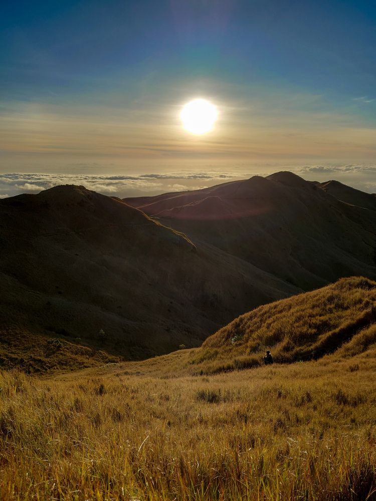 Photo #8993666