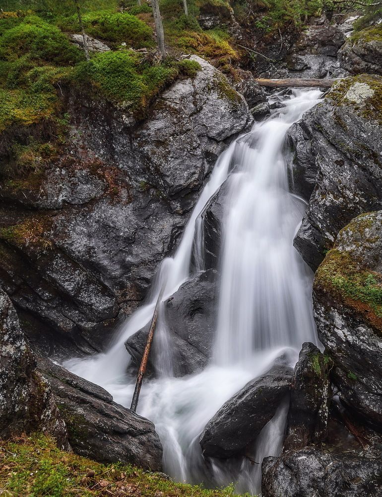 Photograph by Соколова Елена