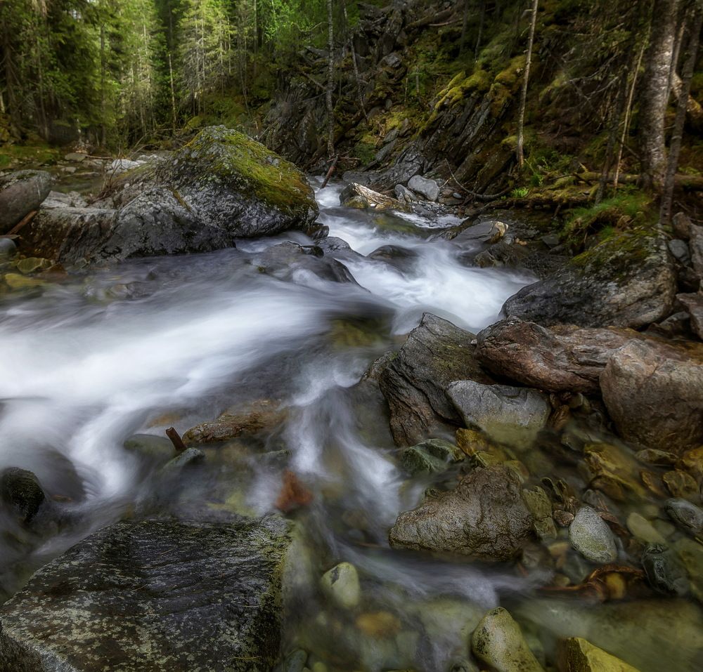 Photograph by Соколова Елена