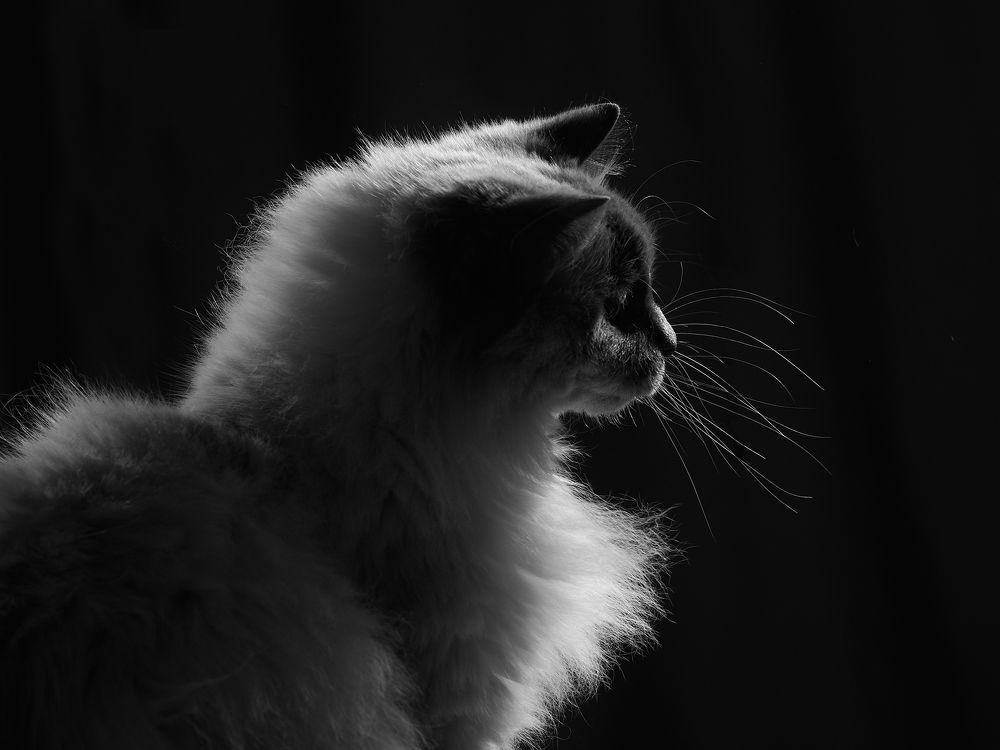 Photograph by Ирина Аверьянова