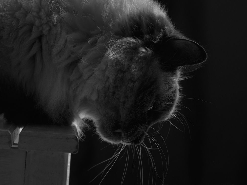 Photograph by Ирина Аверьянова