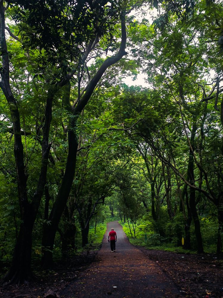 Photograph by Ritu Maheshwari