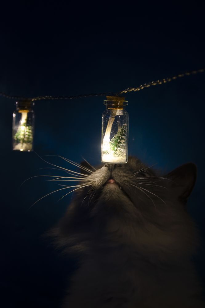 Photograph by Ирина Аверьянова