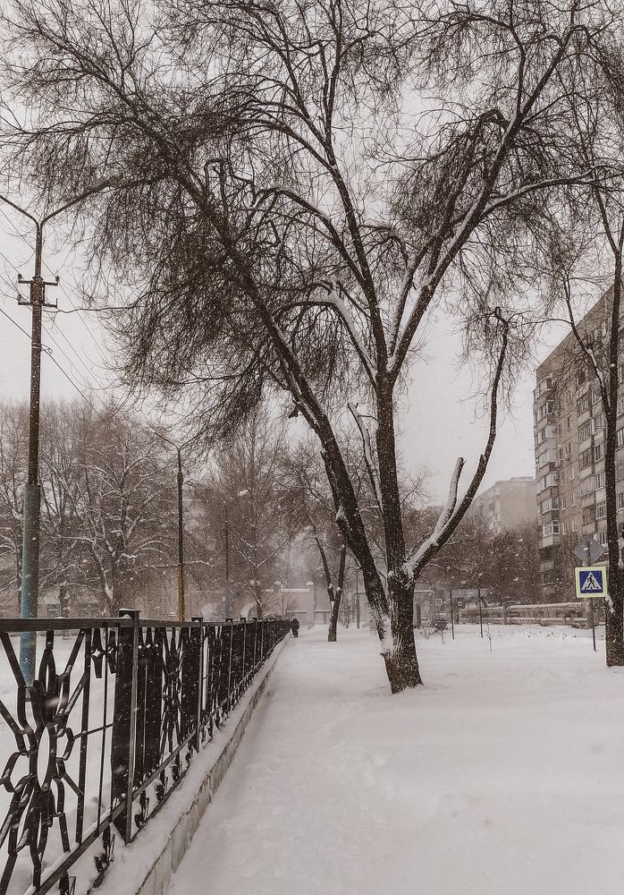 Фотография автора Юлия Гантимурова