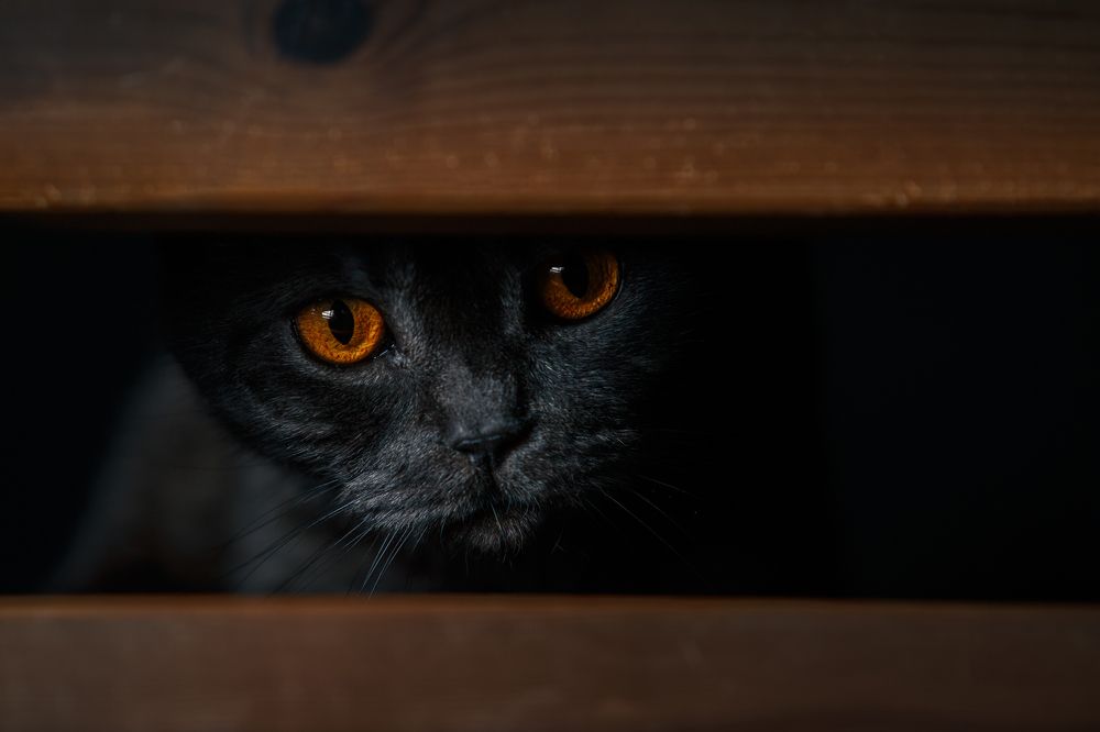 Photograph by Ольга Рябчикова