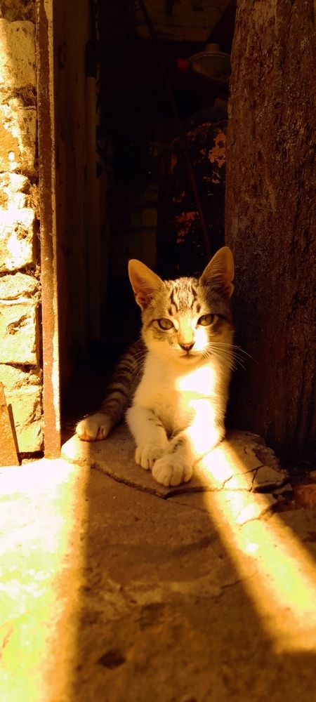 Photo #8993760