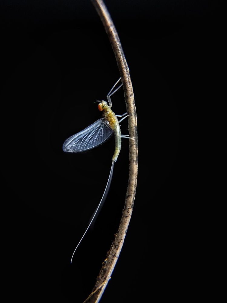 Photograph by Satishkumar Prakash