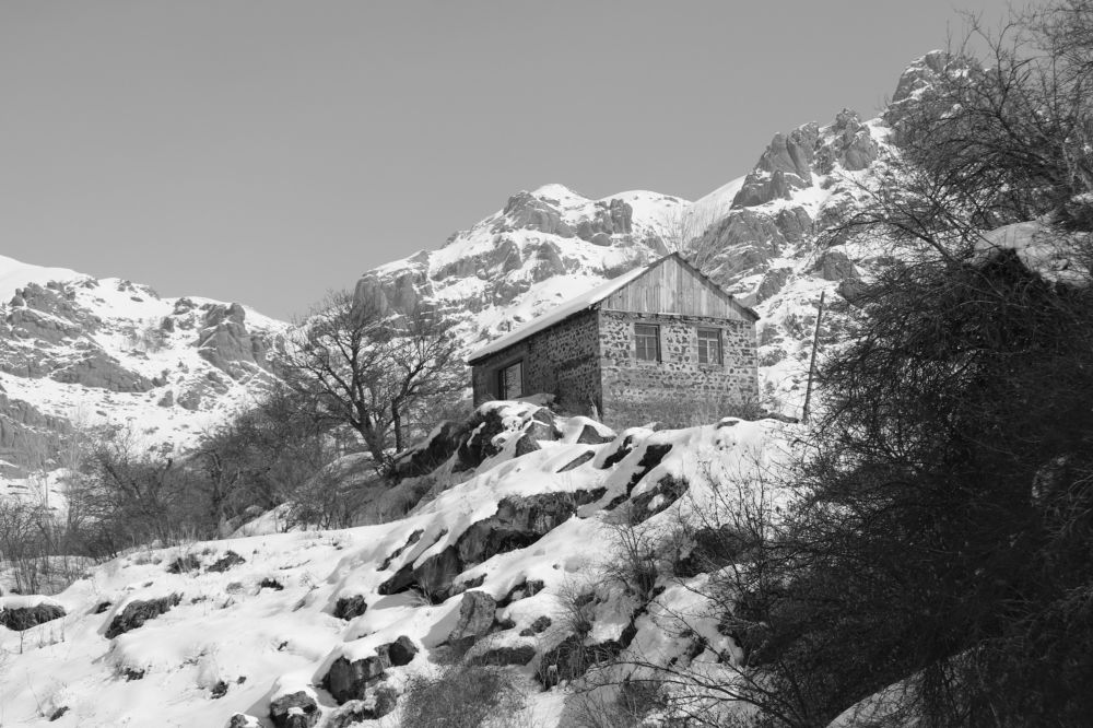 Фотография автора Ashik Hovhannisyan