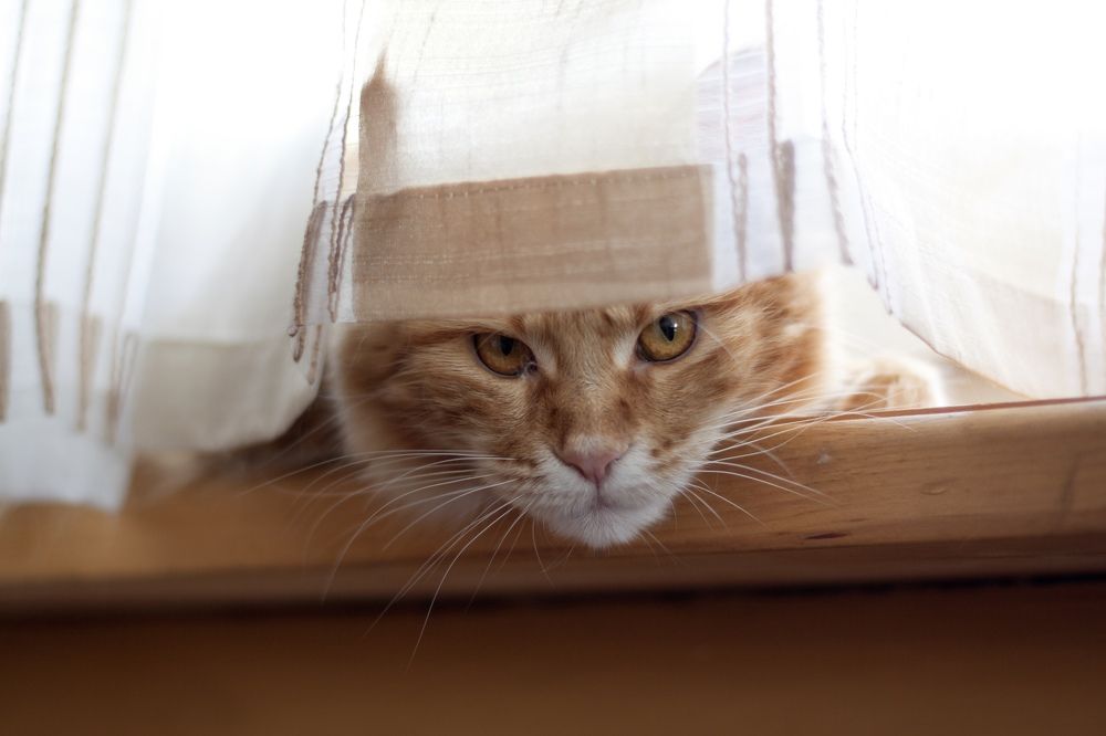 Photograph by Наталья Алина