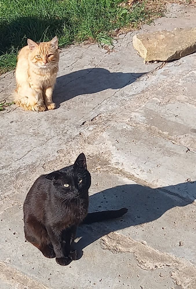 Photograph by Марина Викторова