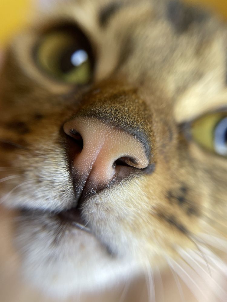 Photograph by Александра