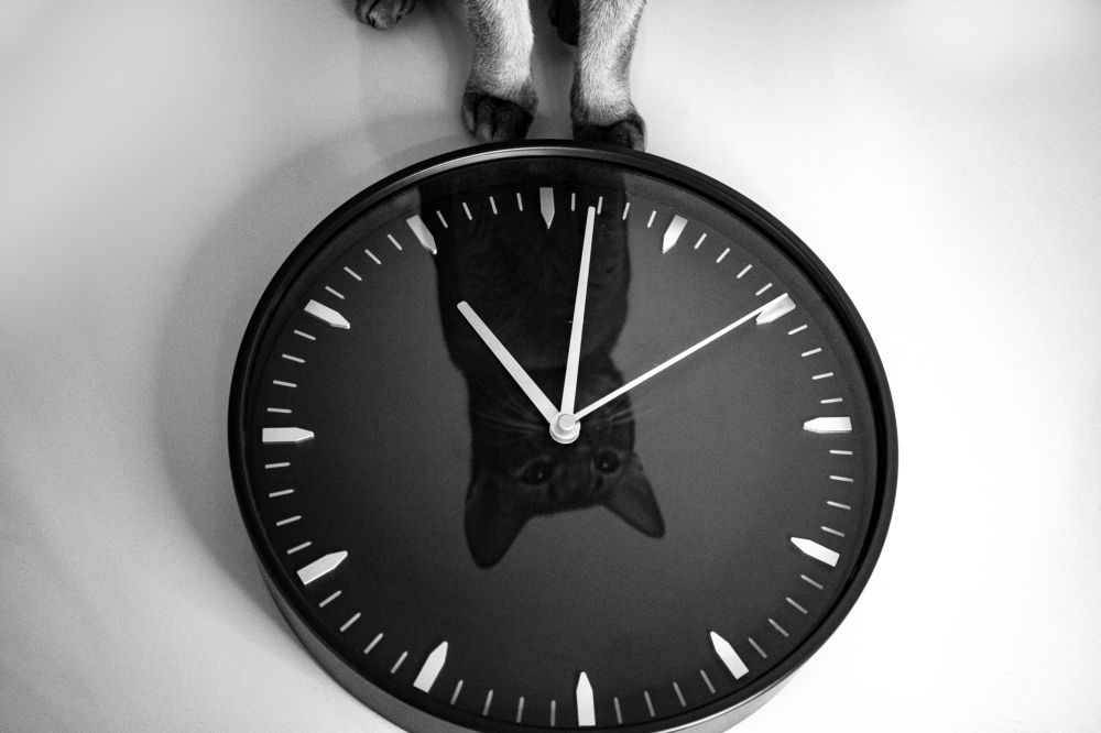 Photograph by Александра