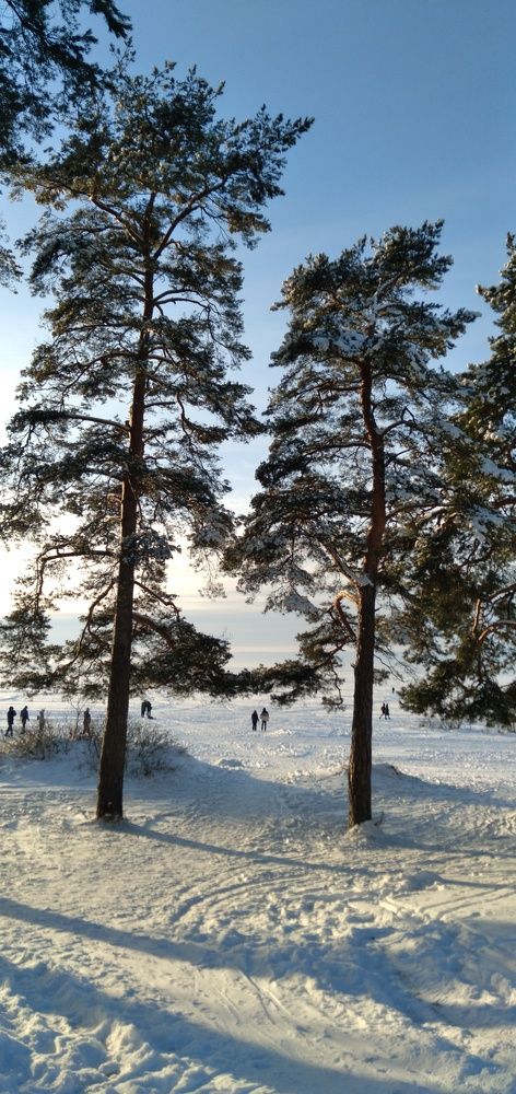 Photograph by Любовь Макарова