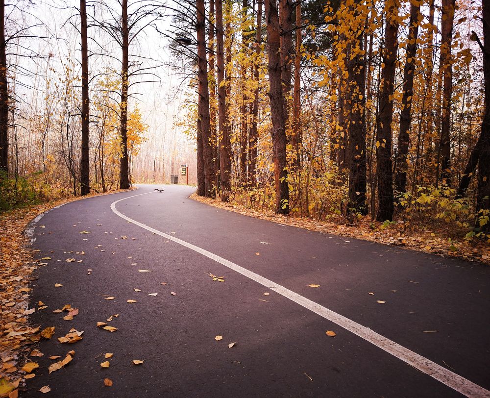 Осенний пейзаж.