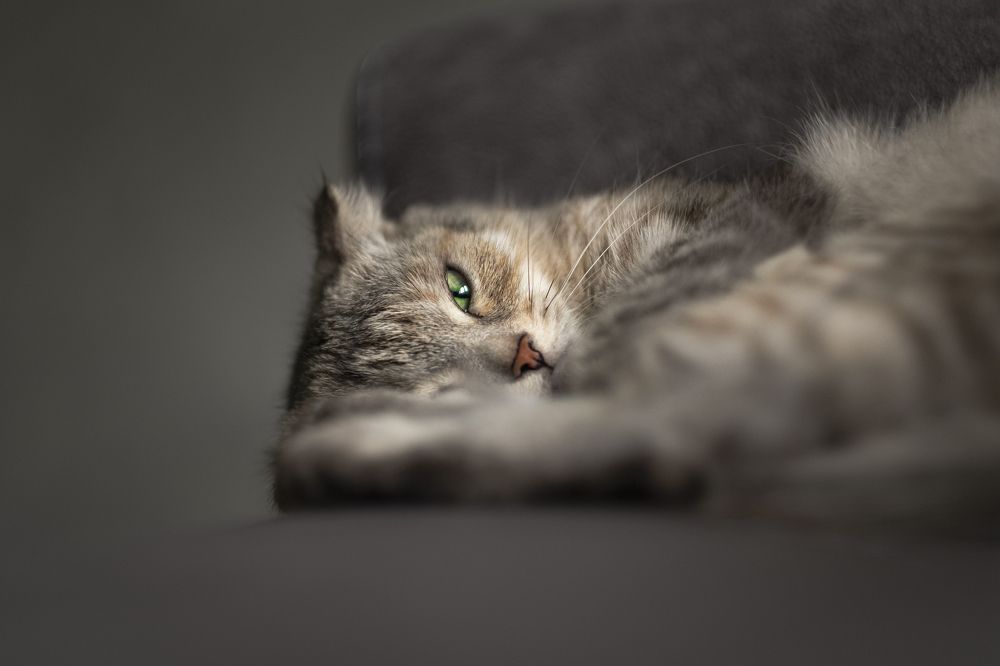 Photograph by Роман Грушевский