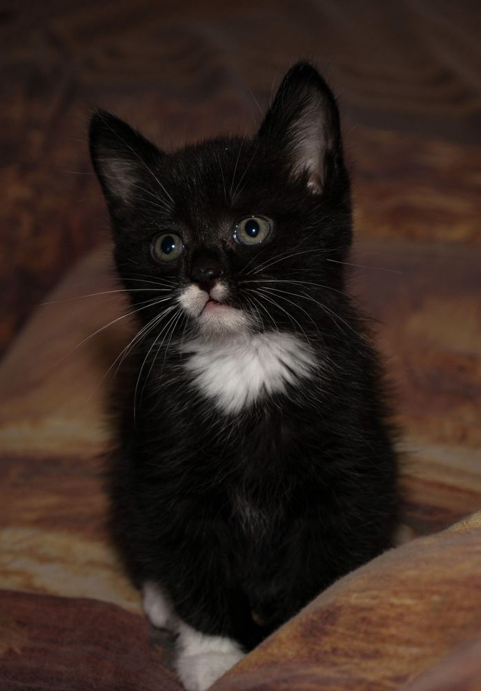 Photograph by Регина Кабанова