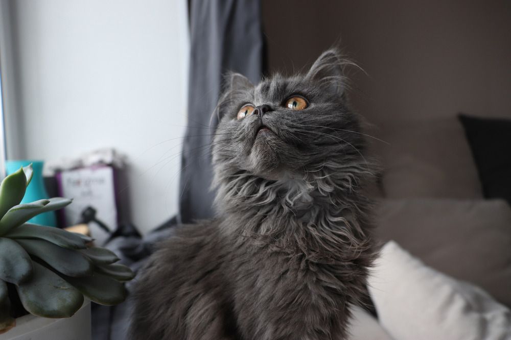 Photograph by Регина Кабанова