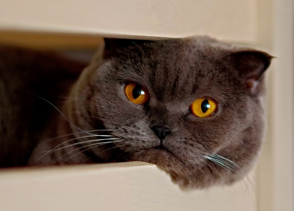 Photograph by Лидия Ушакова