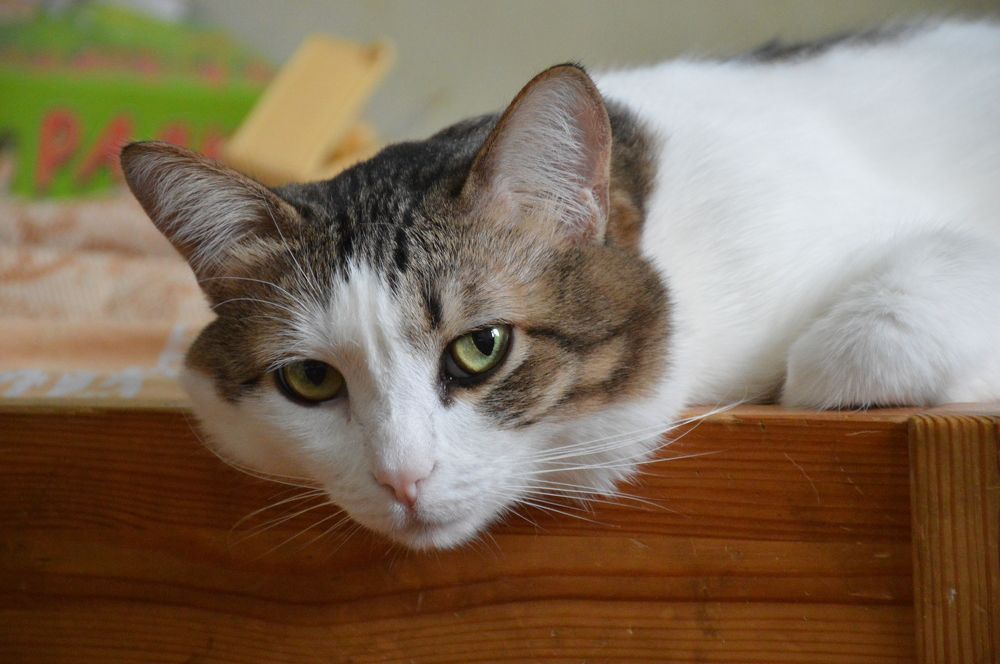 Photograph by Дмитрий Богатырёв