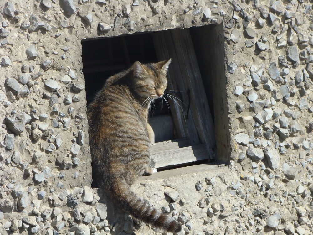 Photograph by Дмитрий Богатырёв