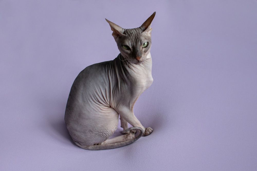 Photograph by Юлия Андреева