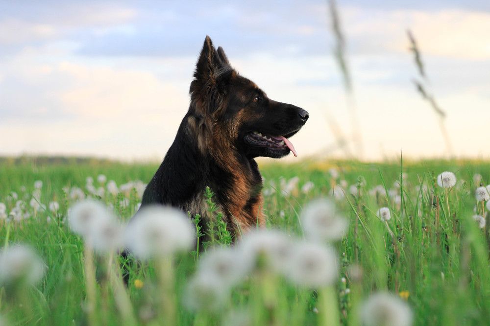 Фотография автора Екатерина