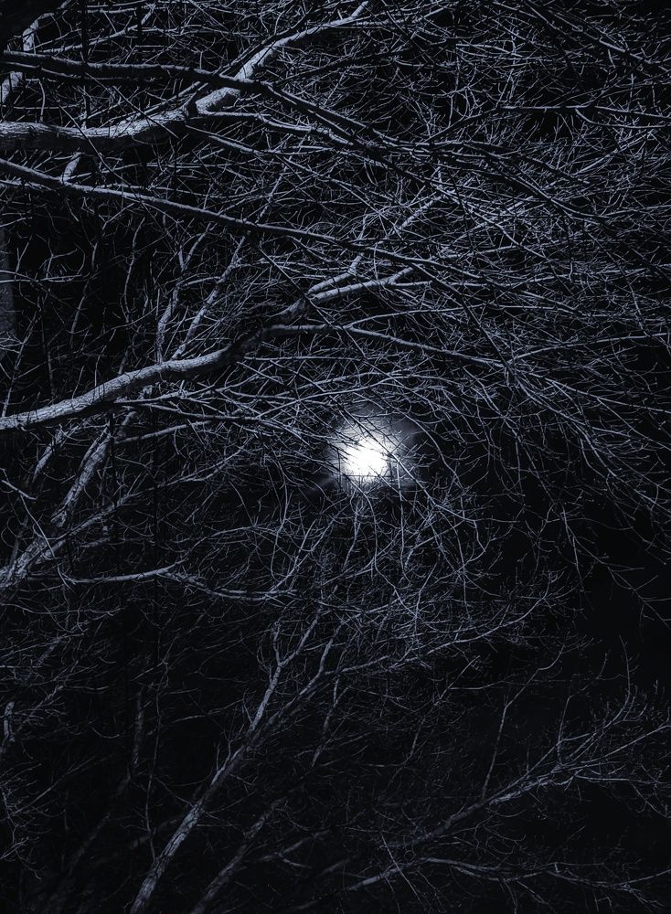 Photograph by Юлия Реутова