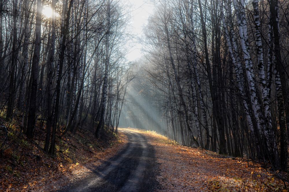 Photograph by Vitaly Lapin