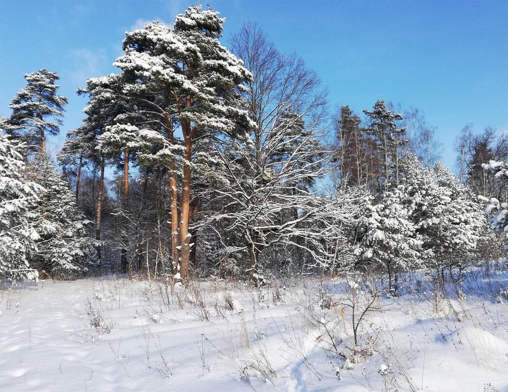 Photograph by Виктор Педан