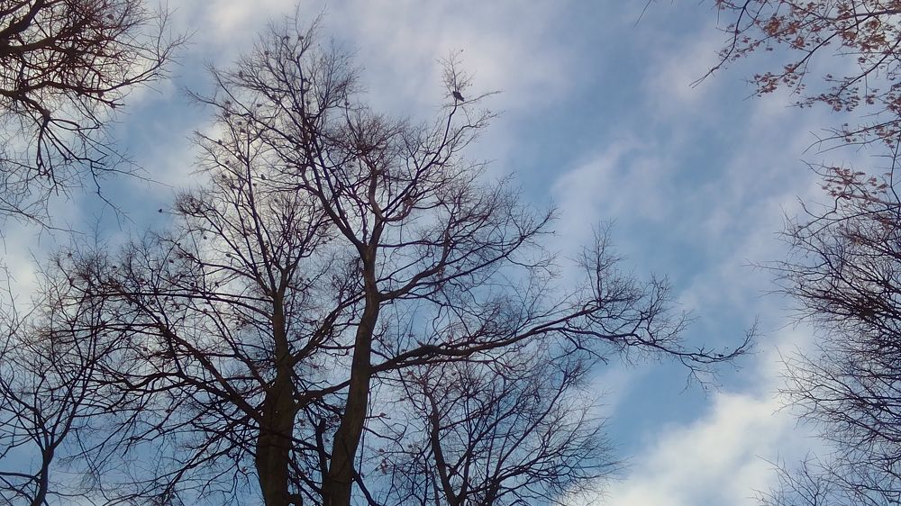 Photograph by Adrian Ошмаро