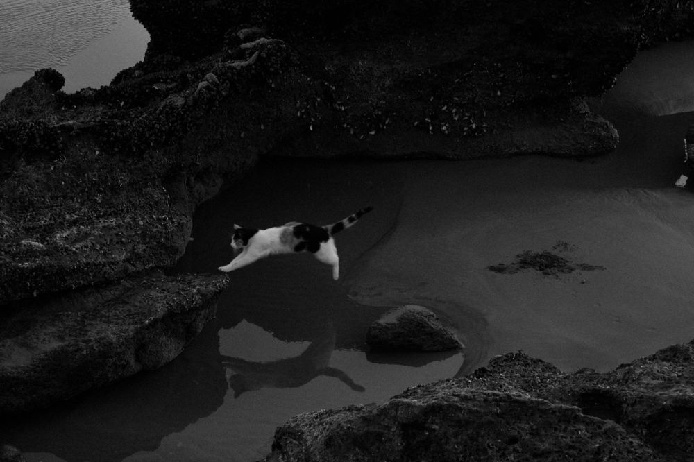 Photograph by Hassan El Ghachaoui